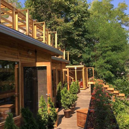 Bed and Breakfast Skay Loft Брашов Екстер'єр фото