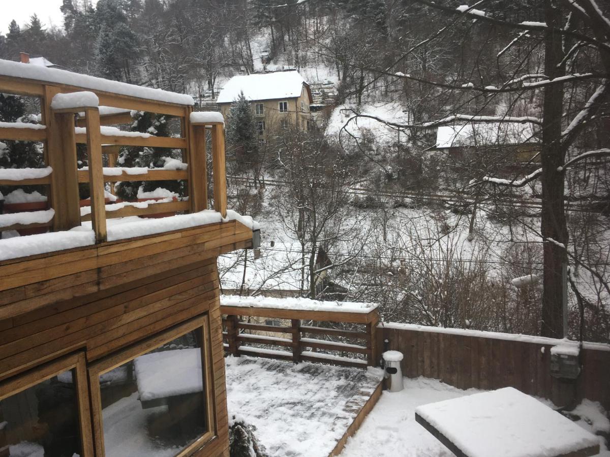 Bed and Breakfast Skay Loft Брашов Екстер'єр фото