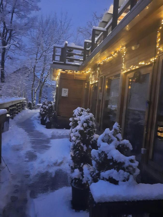 Bed and Breakfast Skay Loft Брашов Екстер'єр фото