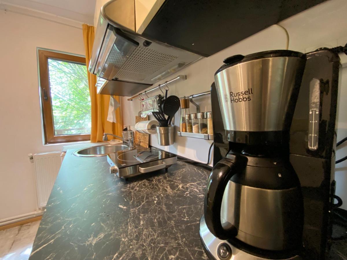 Bed and Breakfast Skay Loft Брашов Екстер'єр фото