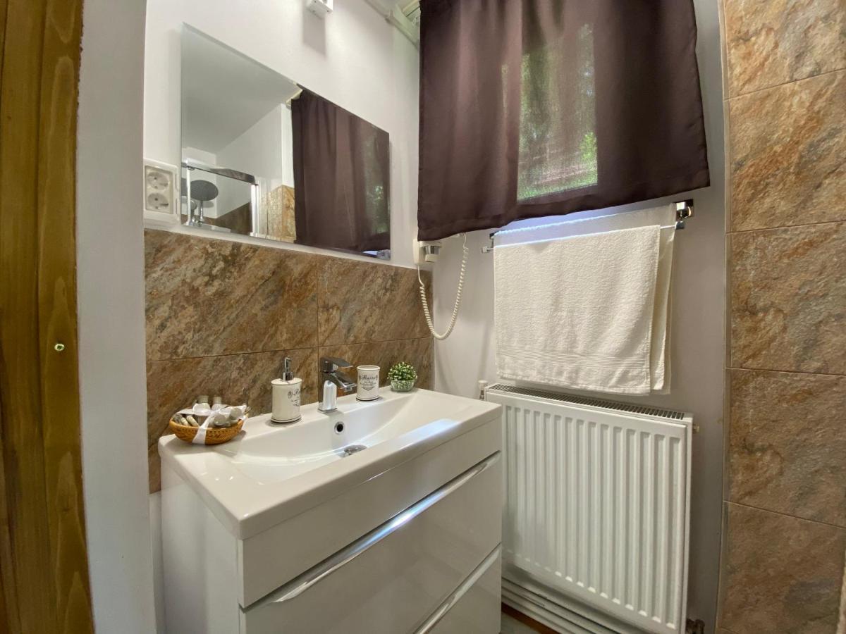 Bed and Breakfast Skay Loft Брашов Екстер'єр фото