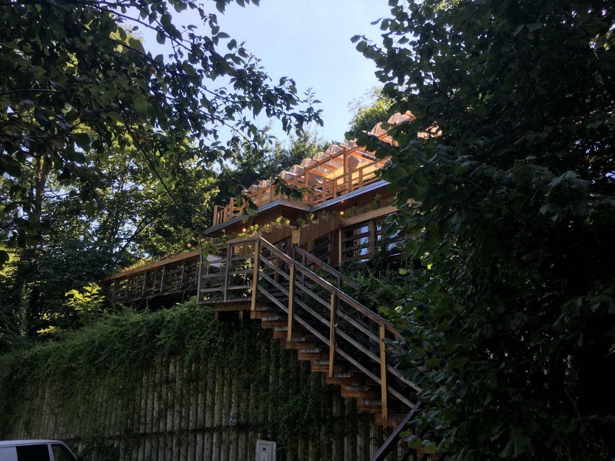 Bed and Breakfast Skay Loft Брашов Екстер'єр фото