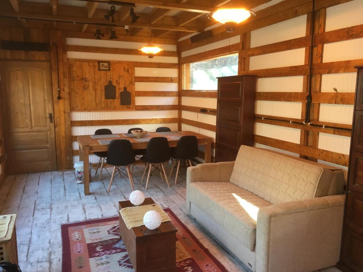 Bed and Breakfast Skay Loft Брашов Екстер'єр фото
